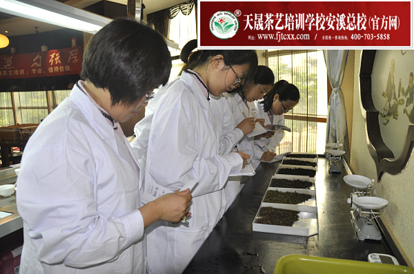 第144期：评茶员审评实操考核(图1)