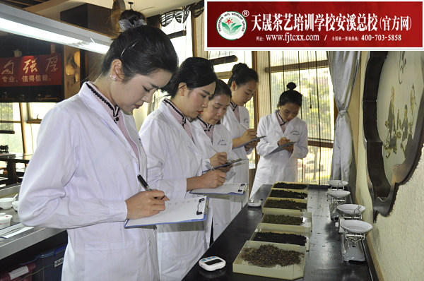 第146期：评茶员审评实操考核(图1)