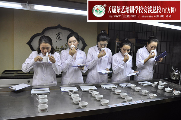 第146期：评茶员审评实操考核(图2)