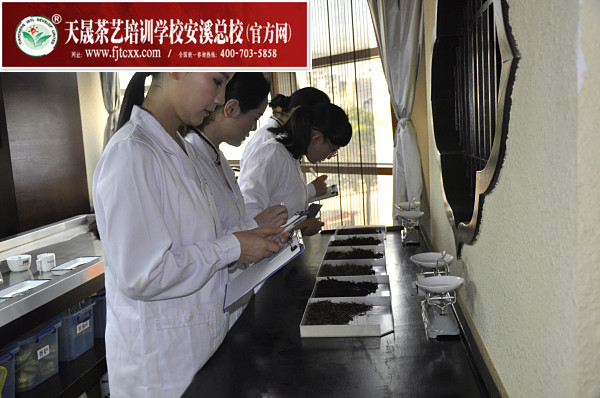第147期：评茶员审评实操考核(图1)