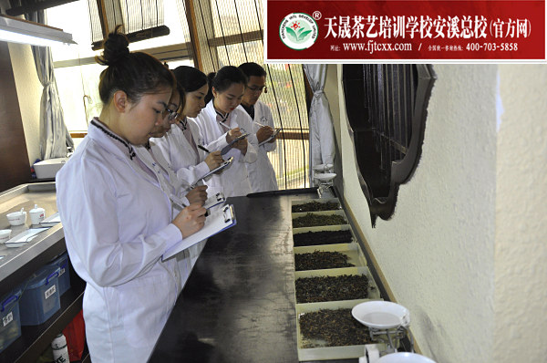 第148期：评茶员审评实操考核(图1)