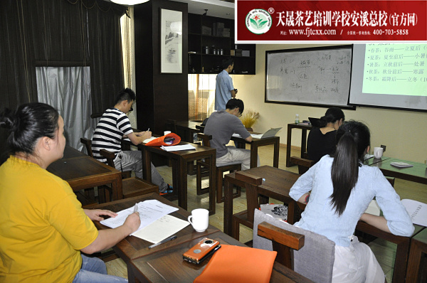 第159期：安溪铁观音初制工艺以及毛茶品质特征(图1)