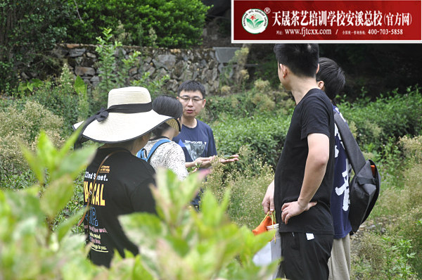 第159期：参观安溪茶叶大观园(图3)