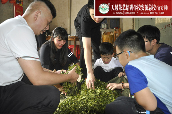 第159期：实践体验安溪乌龙茶制作(图3)