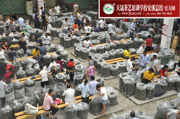 第164期：深入茶叶市场了解行情及闽北乌龙茶的加工与审评(图2)