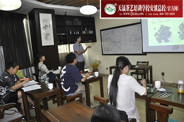 第159期：乌龙茶品质鉴别的八大因子及审评技巧(图1)