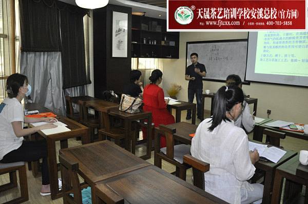 第160期：福鼎白茶的加工与审评、白茶实践审评(图1)