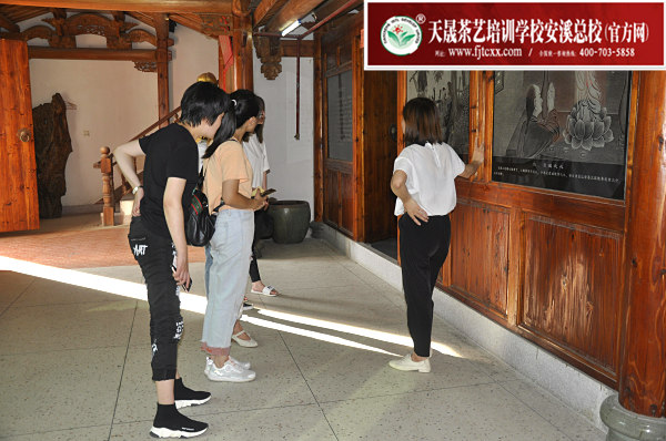 第160期：参观安溪铁观音茶史博物馆(图3)