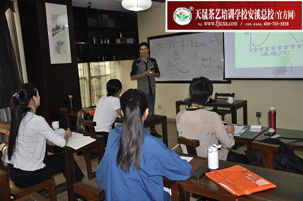 第161期：安溪铁观音初制工艺以及毛茶品质特征(图1)