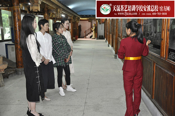 第161期：参观安溪铁观音茶史博物馆(图3)