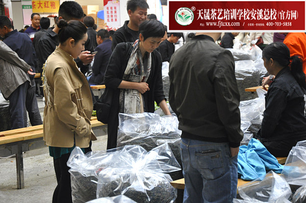 第161期：深入茶叶市场了解行情及闽北乌龙茶的加工与审评(图2)
