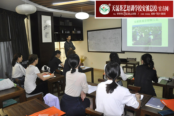 第162期：安溪铁观音初制工艺以及毛茶品质特征(图1)