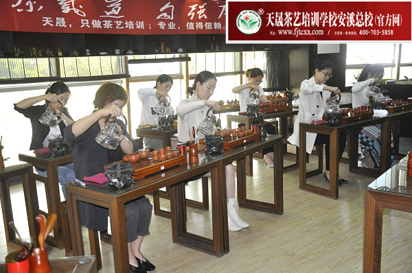 第162期：台湾十八道茶艺分段讲解与训练、茶艺坐姿训练(图2)