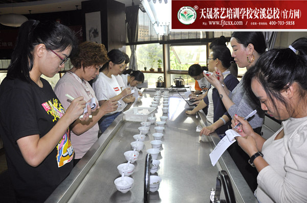 第162期：福鼎白茶的加工与审评、白茶实践审评(图2)