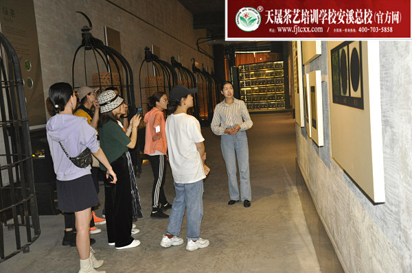 第162期：参观安溪铁观音茶史博物馆(图2)