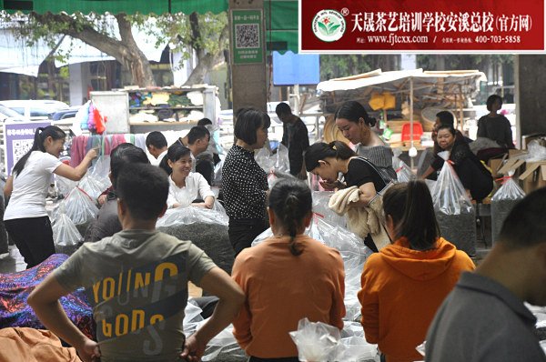 第162期：深入茶叶市场了解行情及闽北乌龙茶的加工与审评(图2)