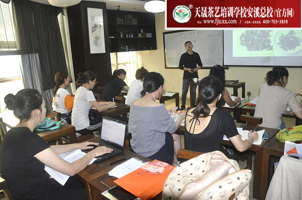 第162期：深入茶叶市场了解行情及闽北乌龙茶的加工与审评(图3)