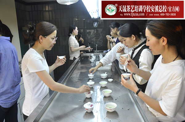 第162期：绿茶的加工与审评、绿茶实践审评(图2)