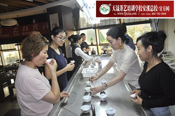 第162期：绿茶的加工与审评、绿茶实践审评(图3)