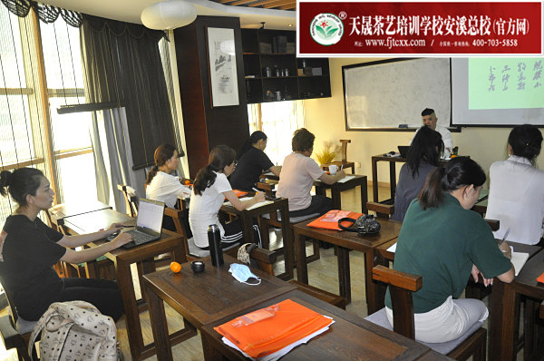 第162期：茶叶店经营管理之茶叶市场分析(图1)