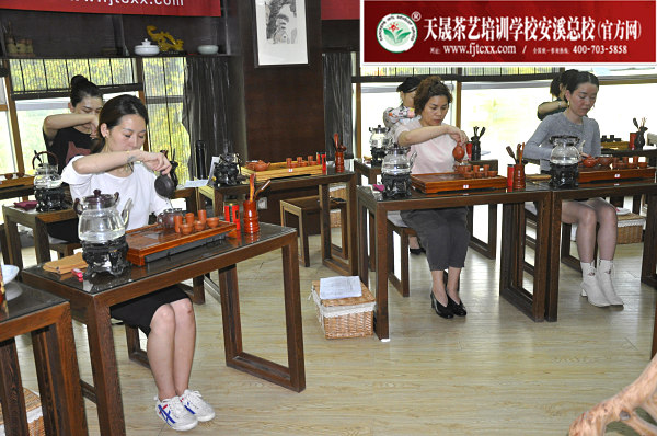 第162期：台湾十八道茶艺流水训练复习(图3)