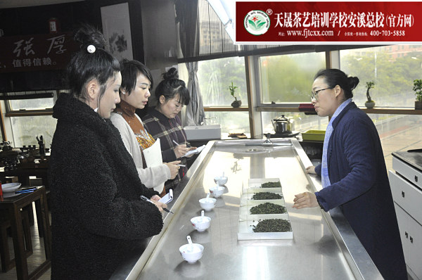 第163期：安溪铁观音初制工艺以及毛茶品质特征(图2)