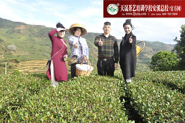 第163期：实践体验安溪乌龙茶制作(图1)