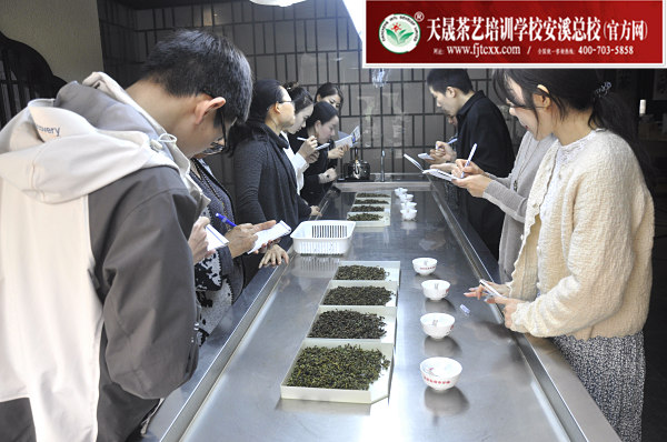 第164期:乌龙茶分类及安溪四大名茶审评与检验(图2)