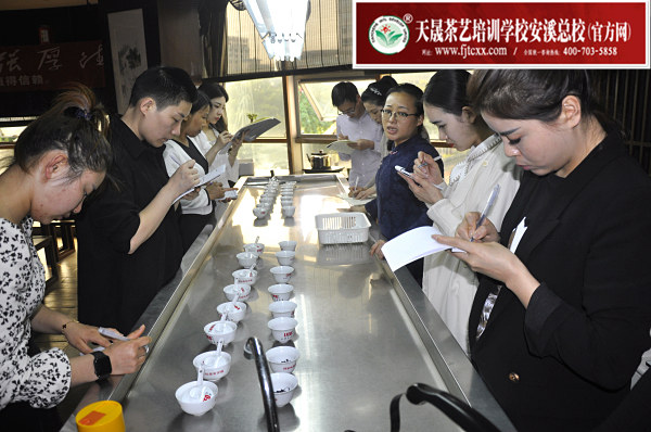 第164期：金骏眉、正山小种的加工与审评 红茶实践审评(图2)