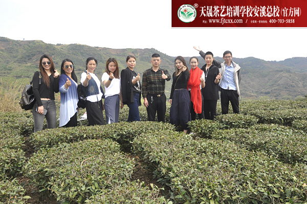 第164期：实践体验安溪乌龙茶制作(图1)