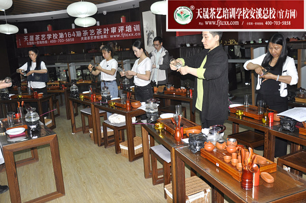 第164期：选修课之绿茶茶艺表演(图3)