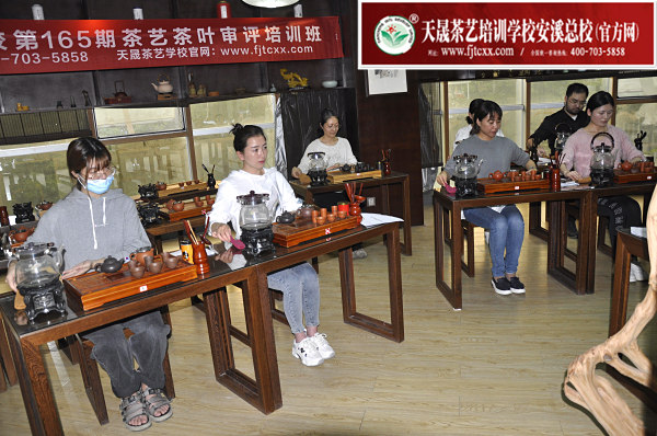 第165期：台湾十八道分段复习、名茶品鉴之安溪铁观音(图3)