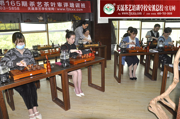 第165期：台湾十八道茶艺分段讲解与训练、茶艺坐姿训练(图3)