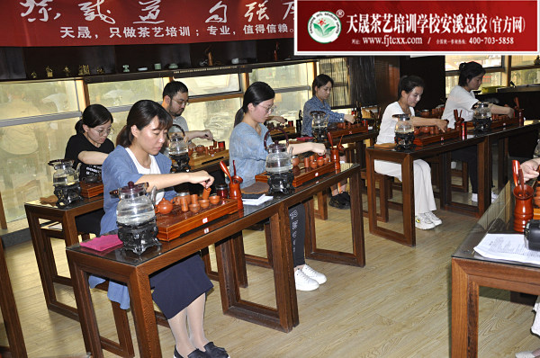 第165期：台湾十八道茶艺分段训练、名茶品鉴之西湖龙井、黄山毛峰、信阳毛尖(图3)