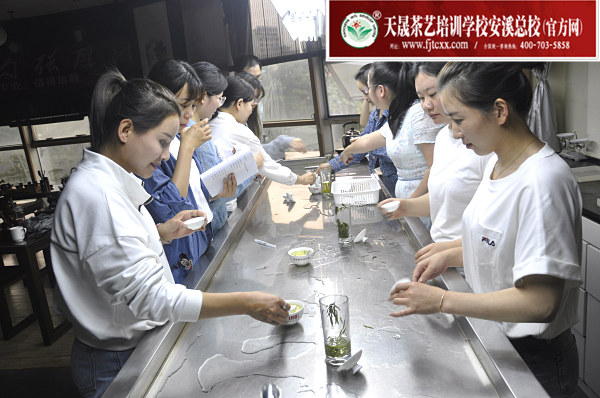 第165期：台湾十八道茶艺分段复习、名茶品鉴之六安瓜片、君山银针(图4)