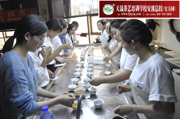 第165期：金骏眉、正山小种的加工与审评 红茶实践审评(图2)