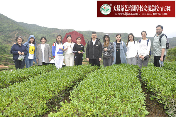 第165期：实践体验安溪乌龙茶制作(图1)