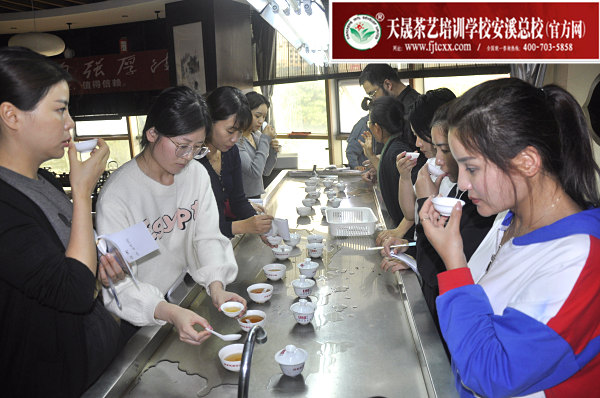 第165期：武夷岩茶的加工与审评、武夷岩茶实践审评(图2)