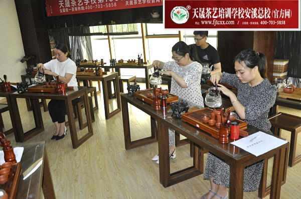 第166期：台湾十八道茶艺分段讲解与训练(图2)