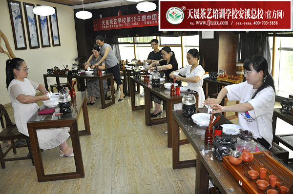 第166期：安溪茶艺之茶具展示学习(图3)