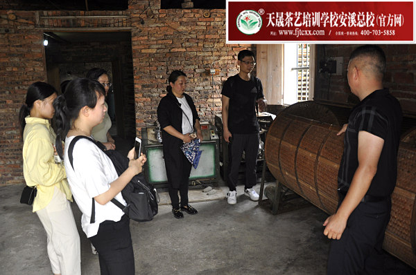 第166期：实践体验安溪乌龙茶制作(图2)