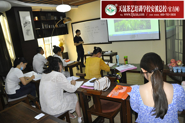 第168期：六大茶类加工与审评：茶叶的分类(图1)