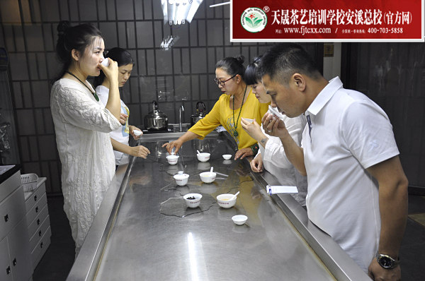 第168期：台湾十八道分段复习、名茶品鉴之安溪铁观音(图4)