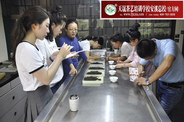 第168期：铁观音香型分类与审评(图2)