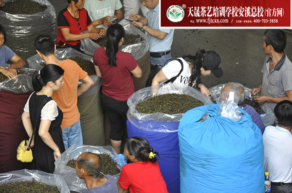 第168期：深入茶叶市场了解行情及闽北乌龙茶的加工与审评(图2)