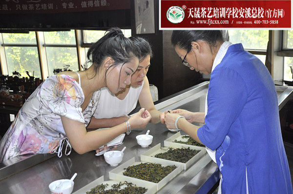 第169期:乌龙茶分类及安溪四大名茶审评与检验(图2)