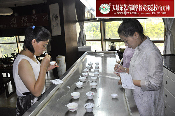 第169期：福鼎白茶的加工与审评、白茶实践审评(图3)