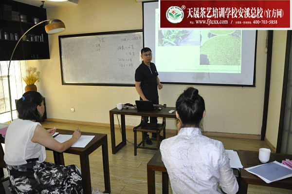 第169期：福鼎白茶的加工与审评、白茶实践审评(图1)