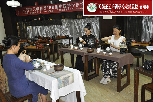 第169期：茶修之行茶十式分段讲解与训练(图1)