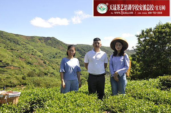 第169期：实践体验安溪乌龙茶制作(图1)